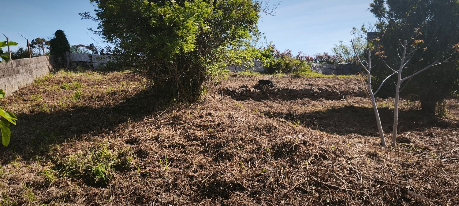 Fincas y solares-Venta-VilagarcÃ­a de Arousa-2241719-Foto-14