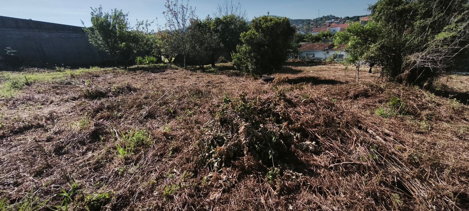 Fincas y solares-Venta-VilagarcÃ­a de Arousa-2241719-Foto-15