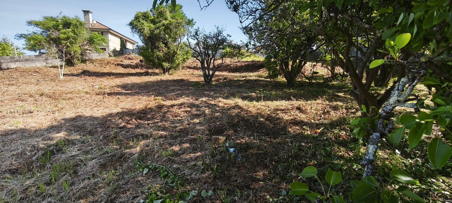 Fincas y solares-Venta-VilagarcÃ­a de Arousa-2241719-Foto-25