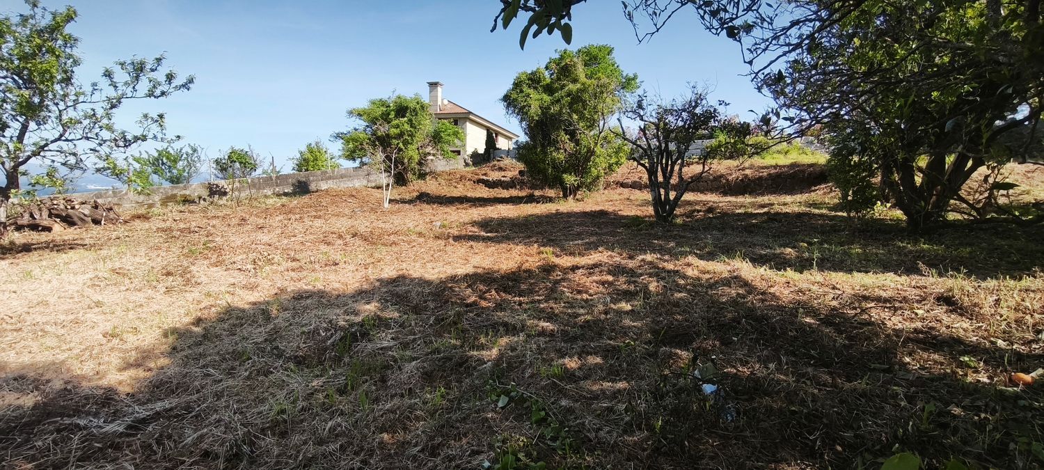 Fincas y solares-Venta-VilagarcÃ­a de Arousa-2241719-Foto-26