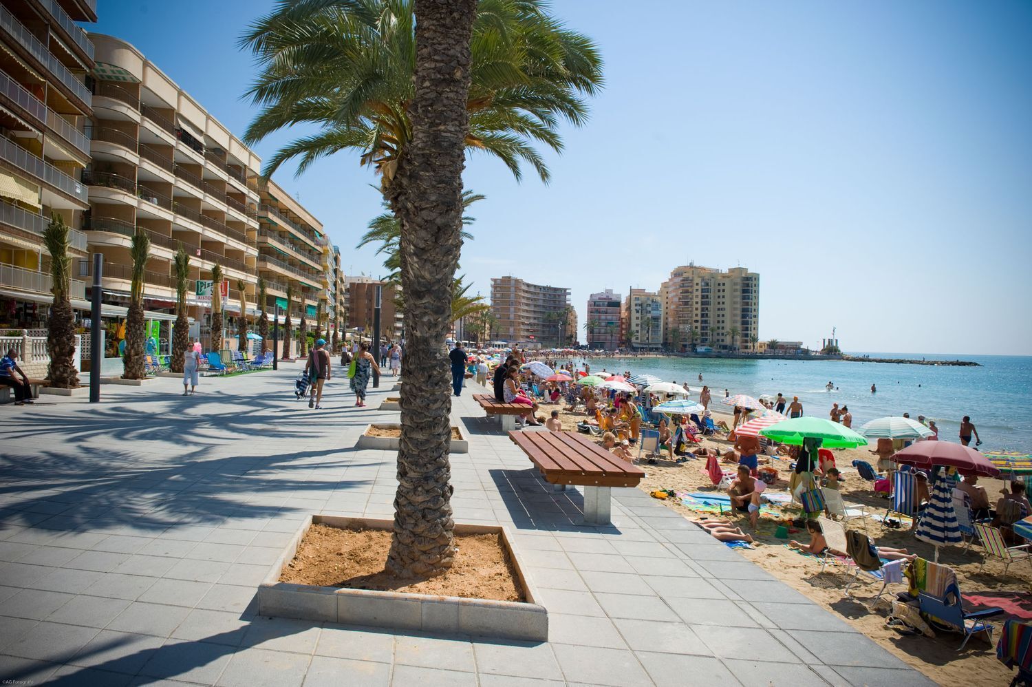 Pisos-Venta-Torrevieja-1974836-Foto-25