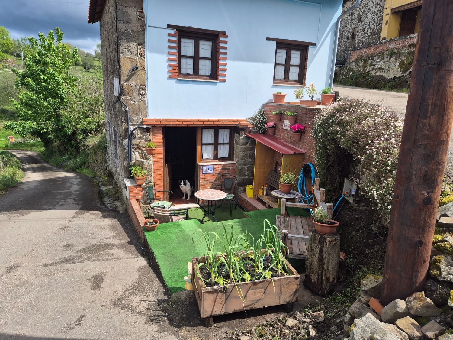 Casas o chalets-Venta-Colunga-2241725-Foto-3