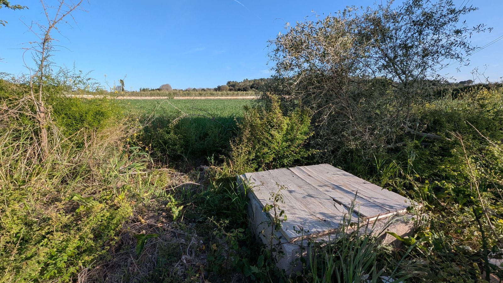 Fincas y solares-Venta-Muro de Alcoy-2092814-Foto-2