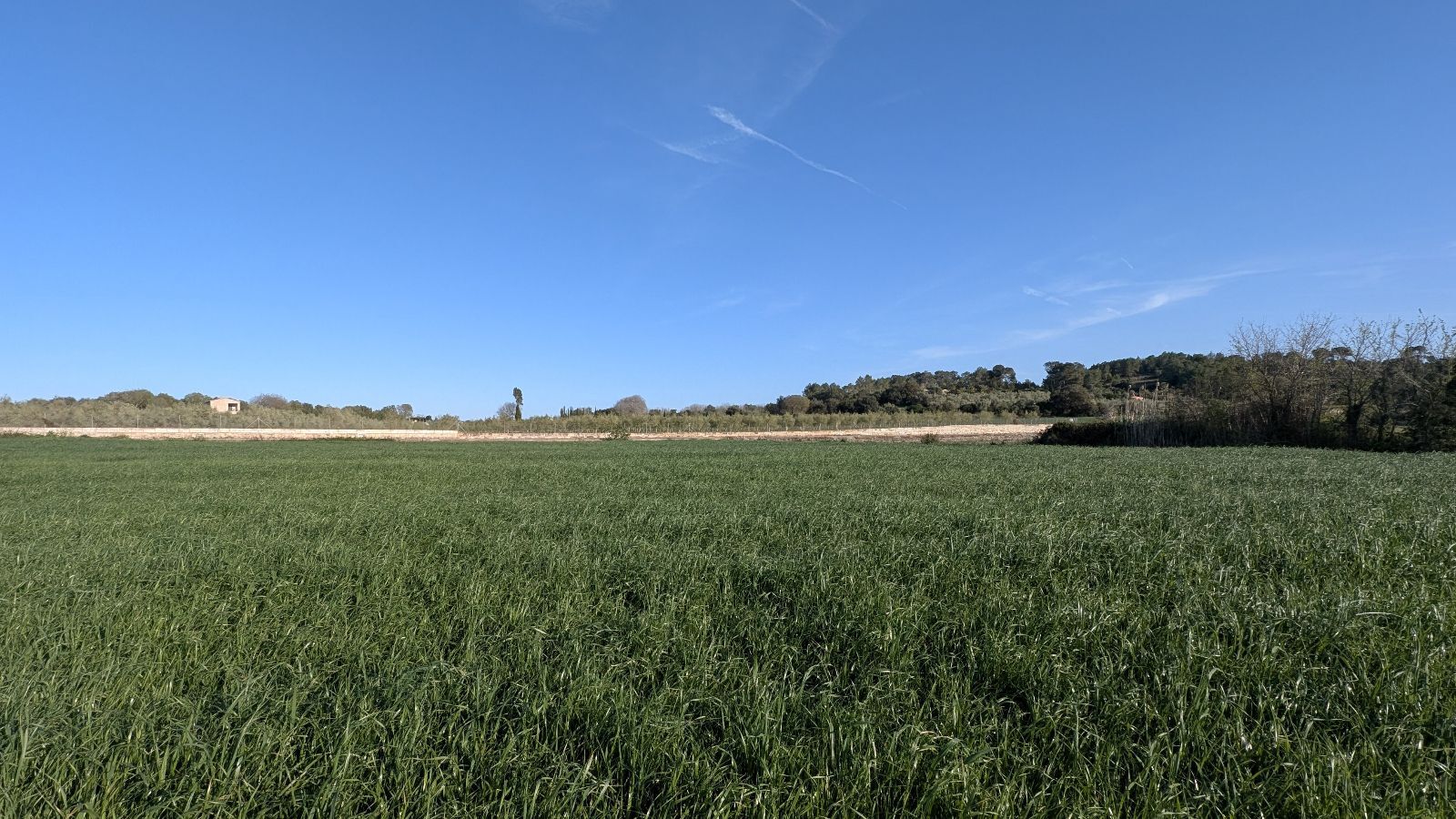 Fincas y solares-Venta-Muro de Alcoy-2092814-Foto-6