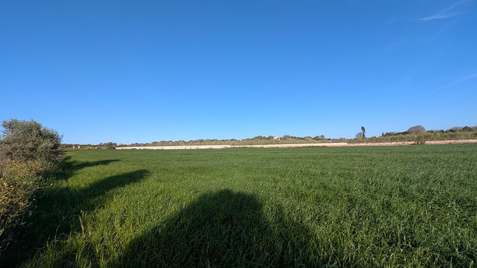 Fincas y solares-Venta-Muro de Alcoy-2092814-Foto-7