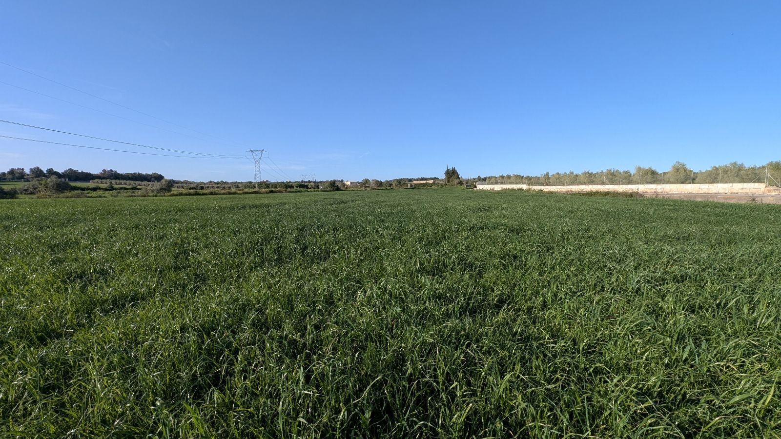 Fincas y solares-Venta-Muro de Alcoy-2092814-Foto-8