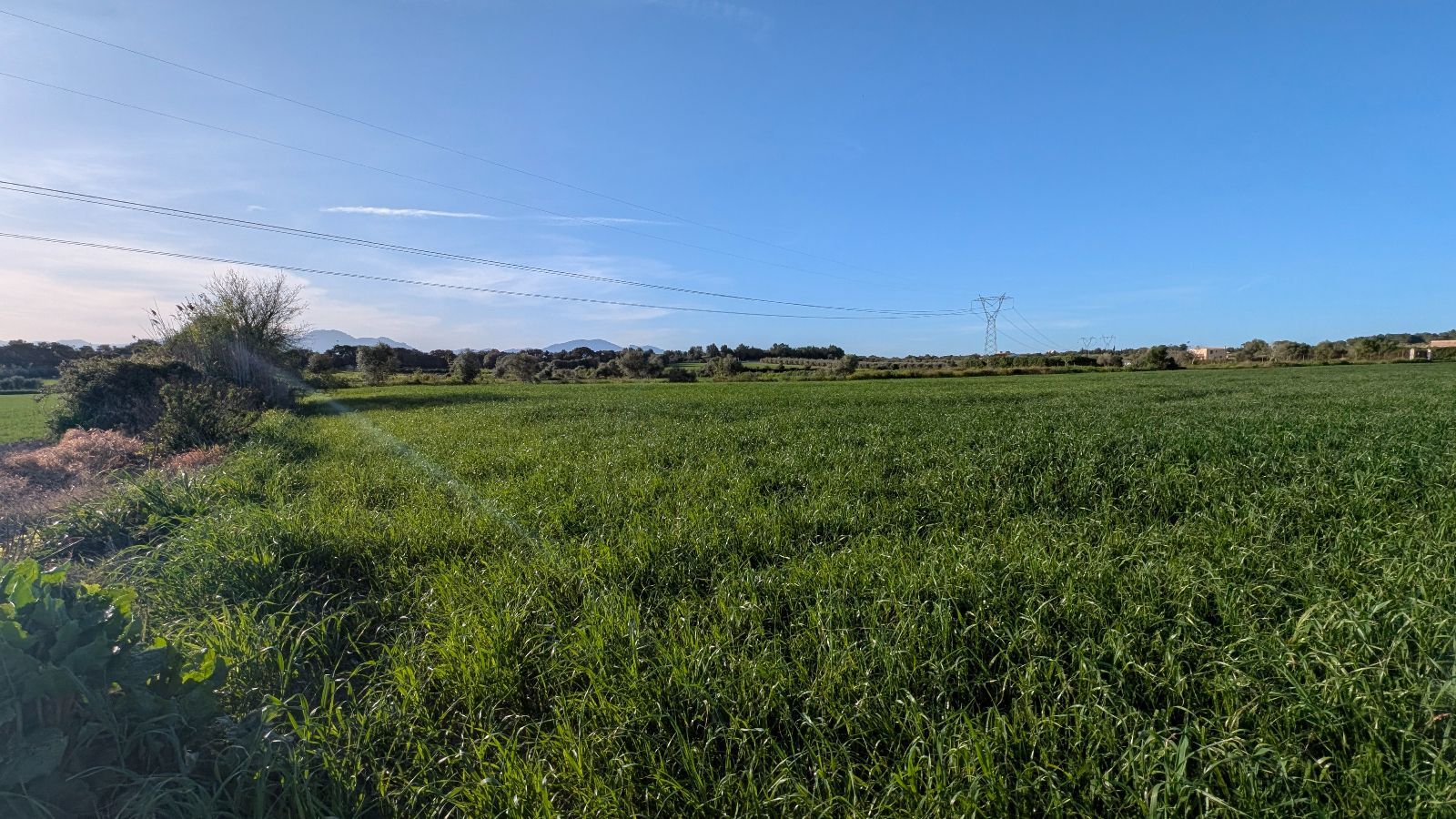 Fincas y solares-Venta-Muro de Alcoy-2092814-Foto-9