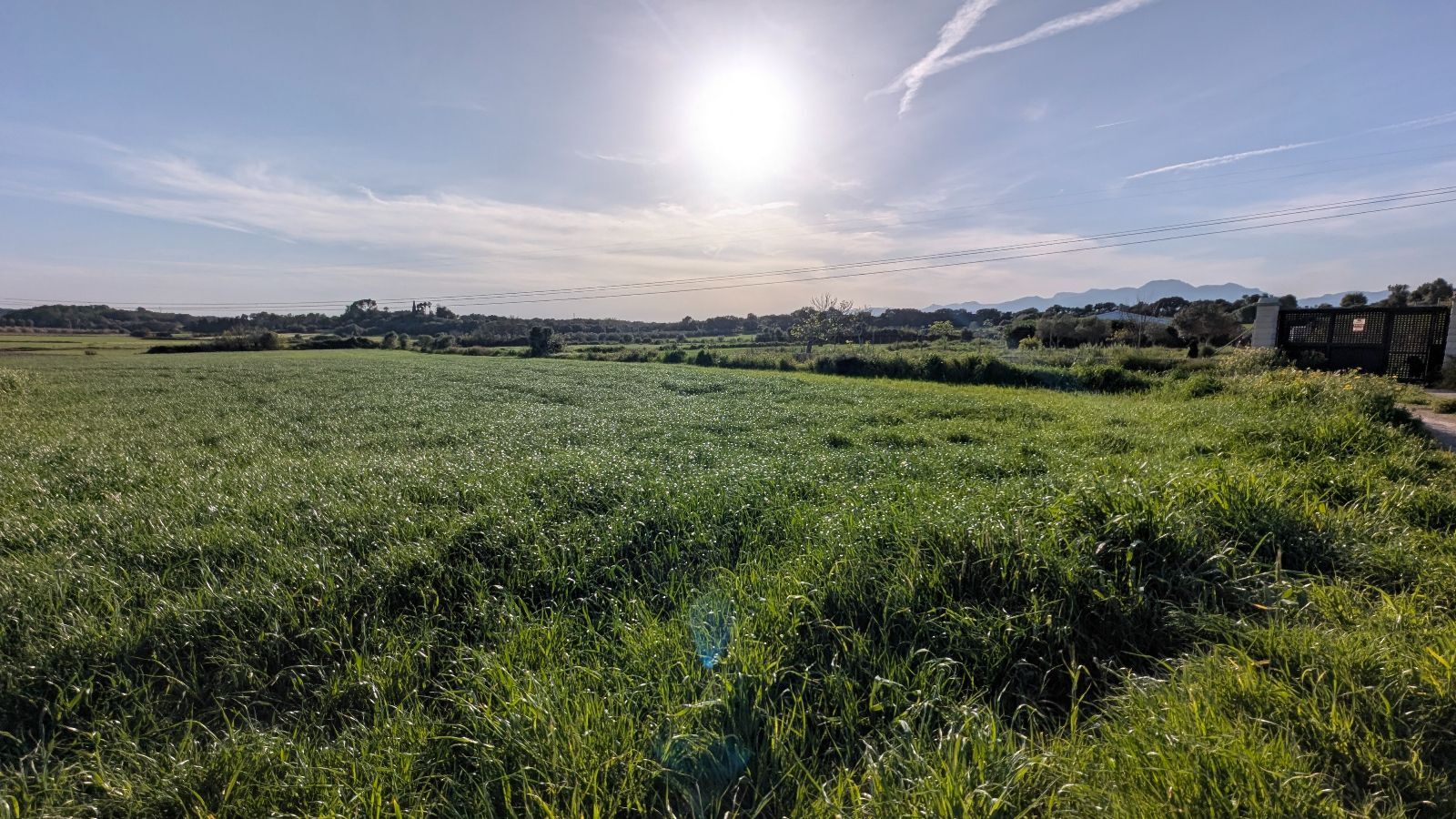 Fincas y solares-Venta-Muro de Alcoy-2092814-Foto-11