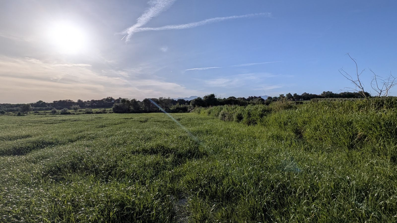 Fincas y solares-Venta-Muro de Alcoy-2092814-Foto-13