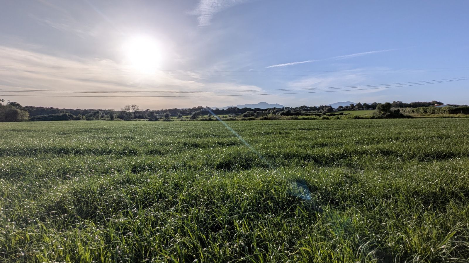 Fincas y solares-Venta-Muro de Alcoy-2092814-Foto-12