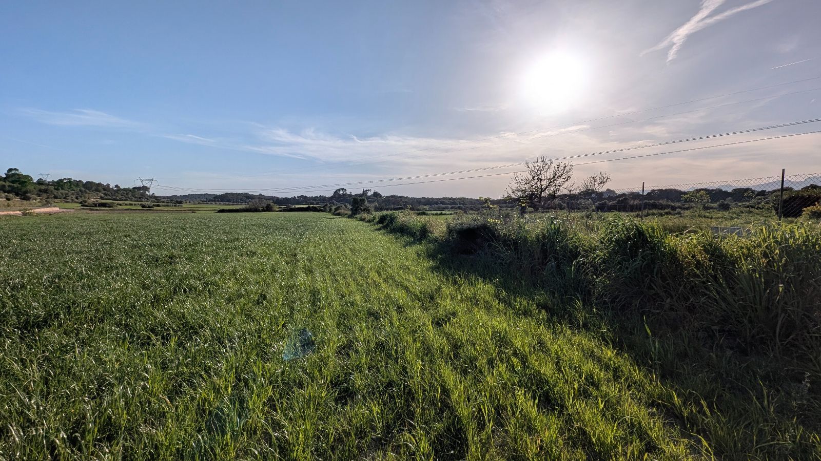 Fincas y solares-Venta-Muro de Alcoy-2092814-Foto-15