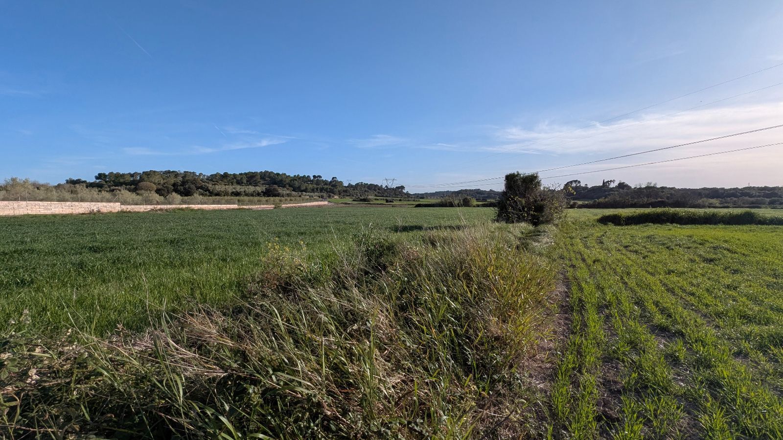 Fincas y solares-Venta-Muro de Alcoy-2092814-Foto-16