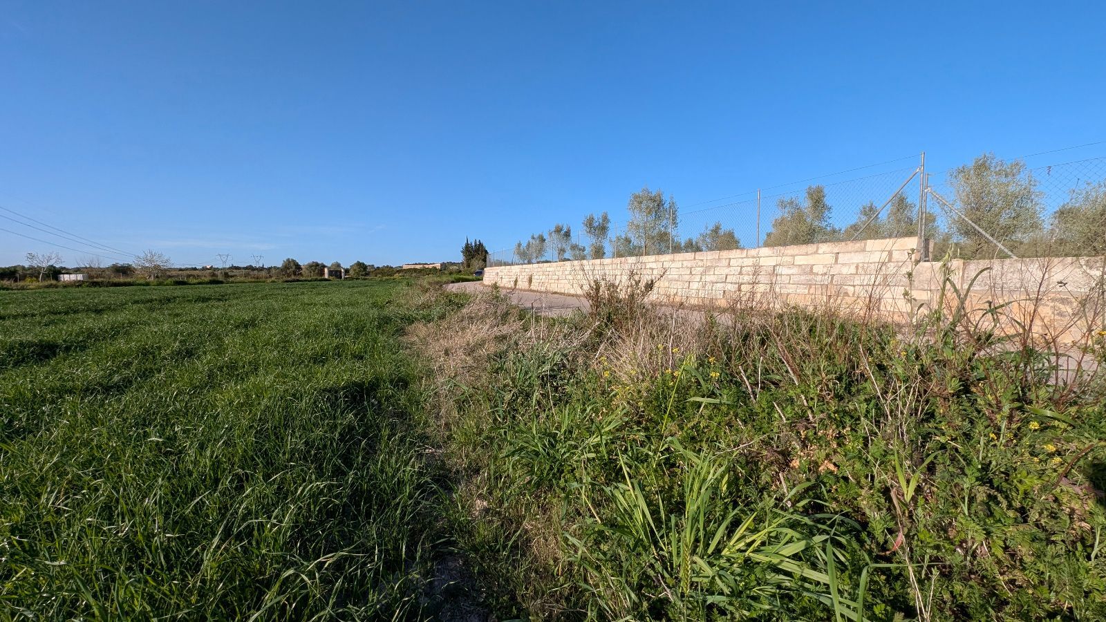 Fincas y solares-Venta-Muro de Alcoy-2092814-Foto-20