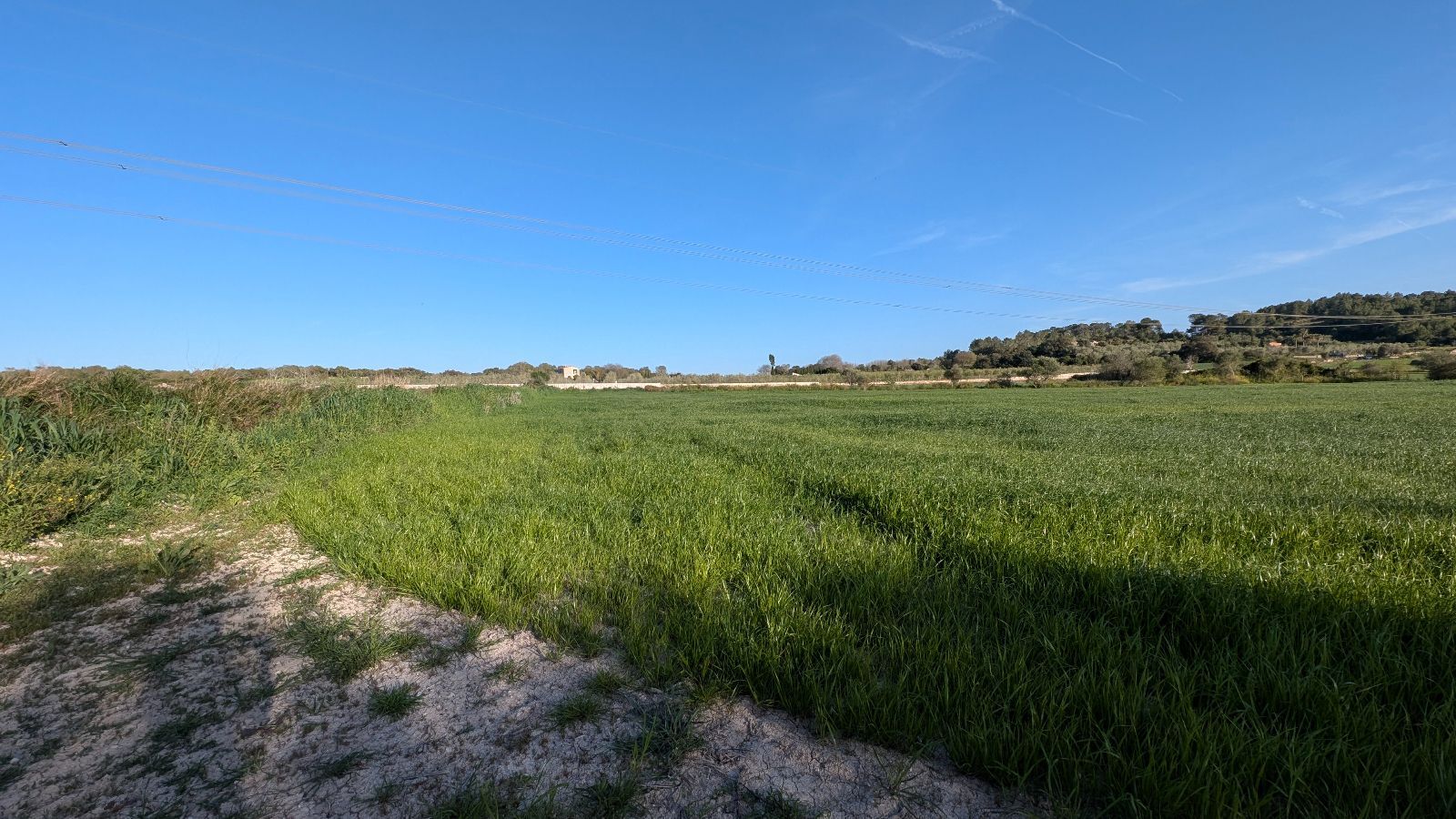 Fincas y solares-Venta-Muro de Alcoy-2092814-Foto-22