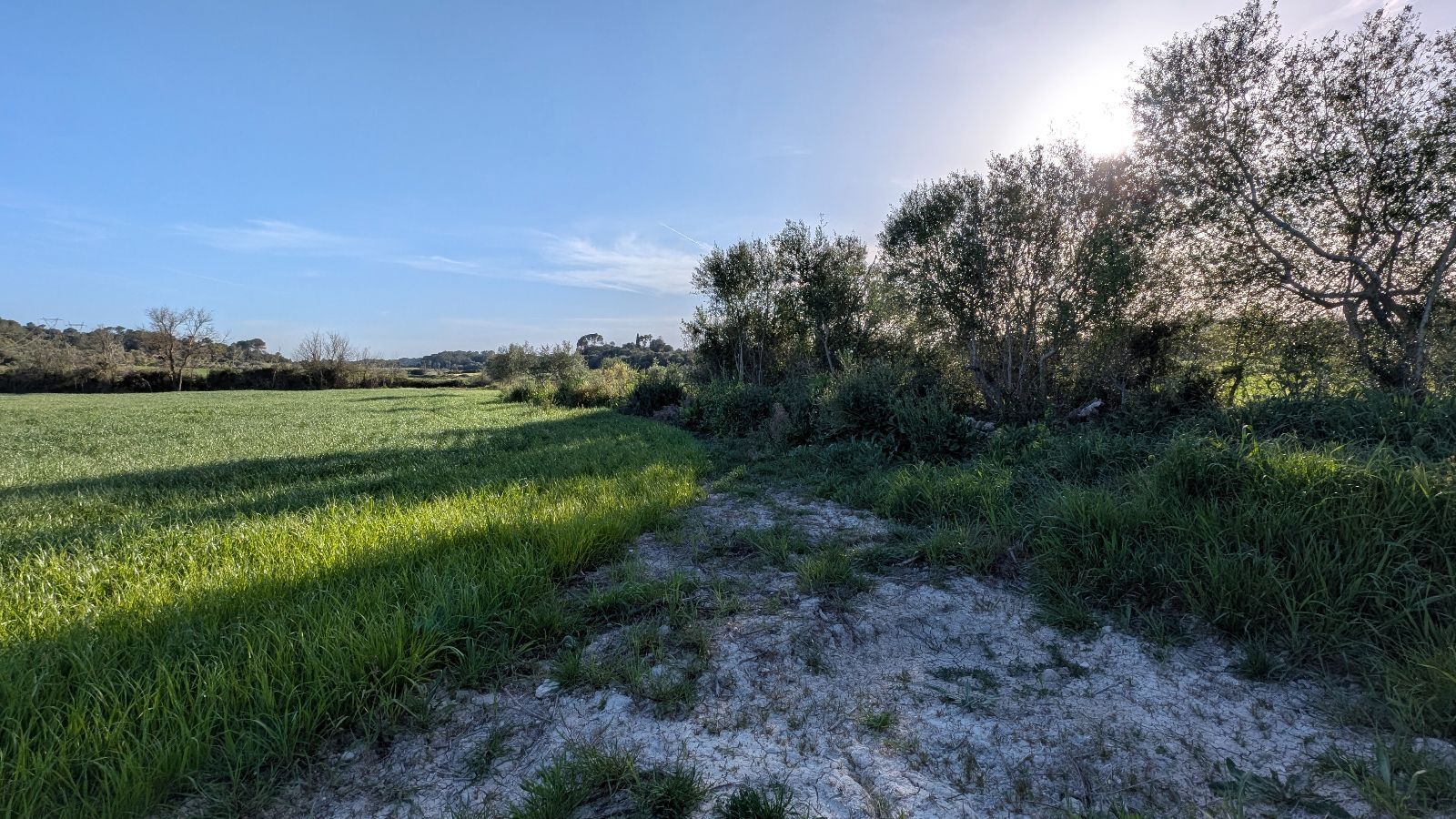 Fincas y solares-Venta-Muro de Alcoy-2092814-Foto-25