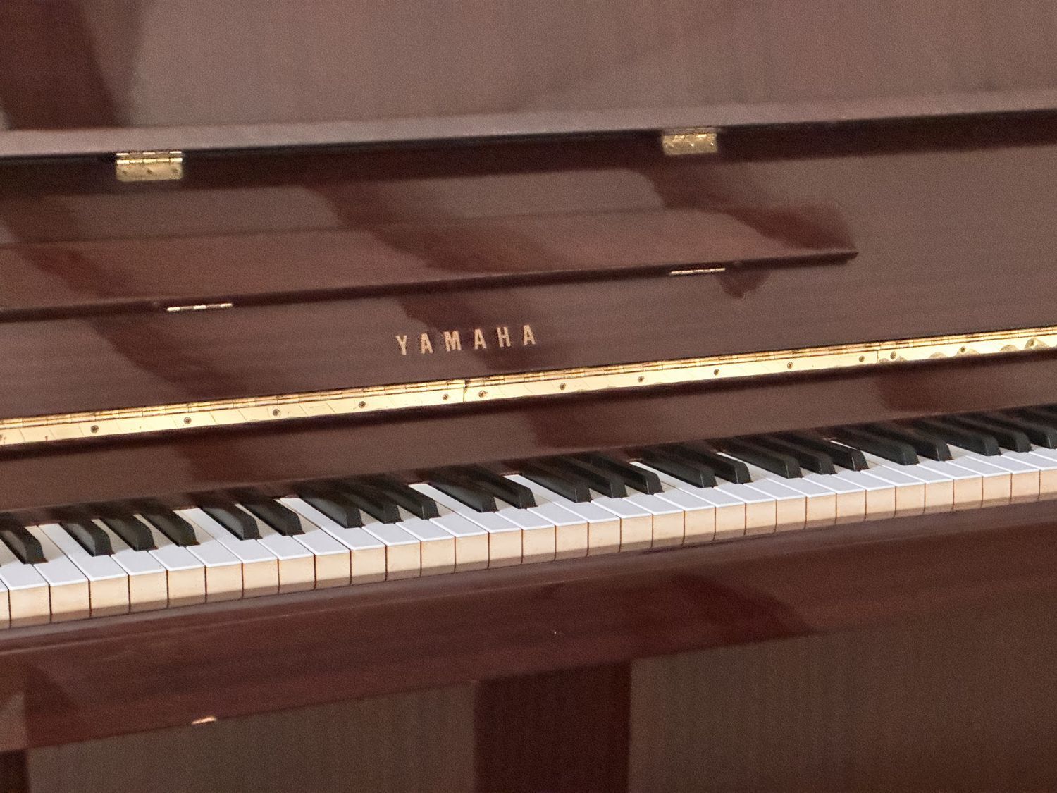 Casas o chalets-Venta-Santa BrÃ­gida-2092415-Foto-75