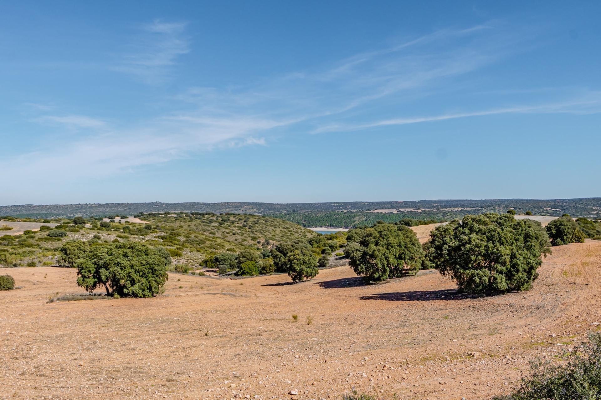 Pisos-Venta-Argamasilla de Alba-2241749-Foto-60