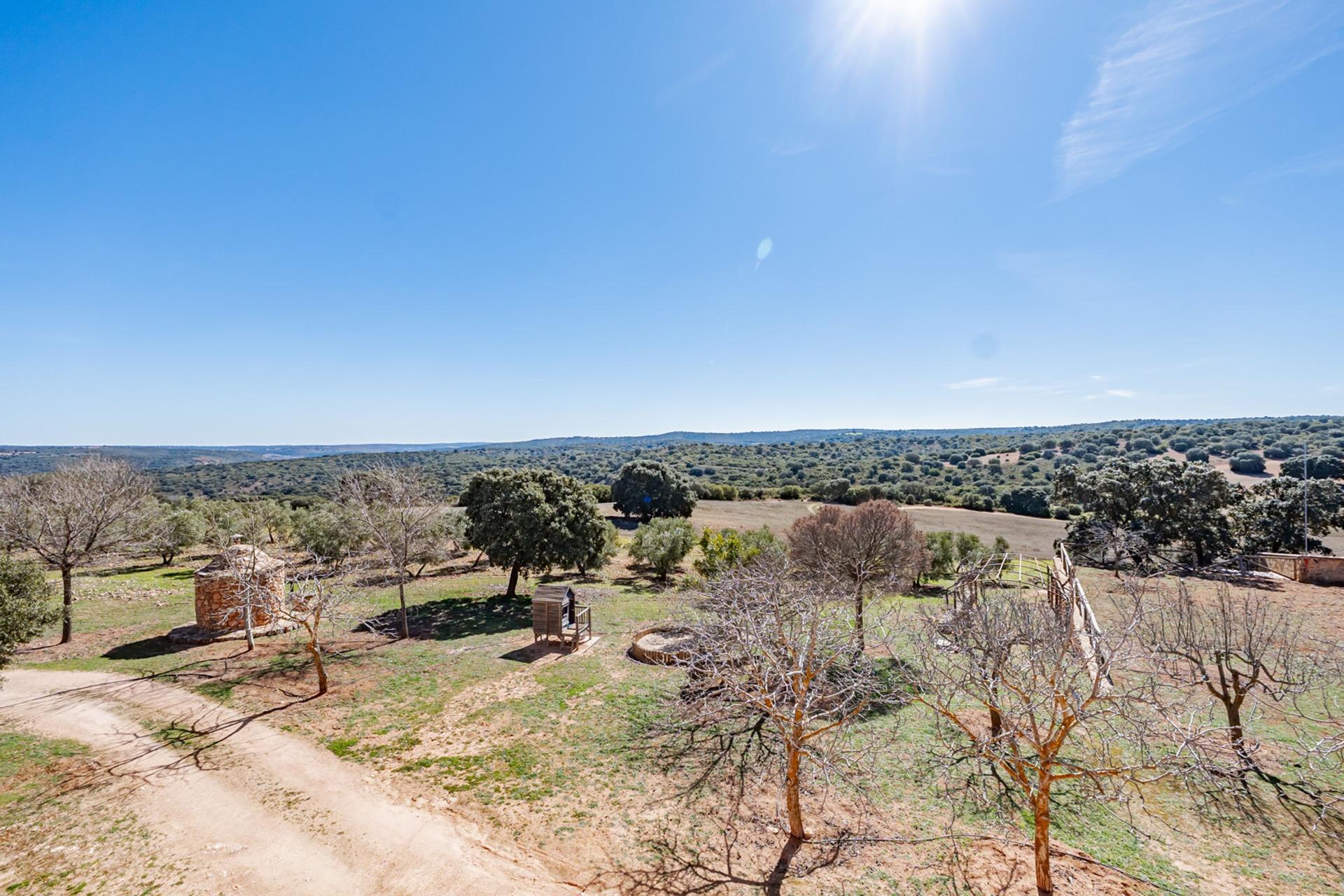 Pisos-Venta-Argamasilla de Alba-2241749-Foto-73