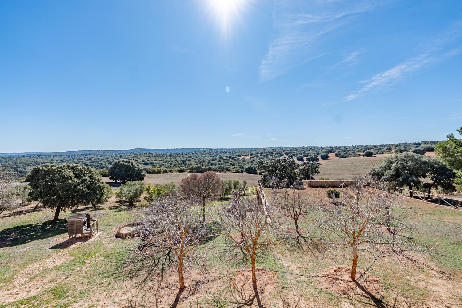 Pisos-Venta-Argamasilla de Alba-2241749-Foto-74