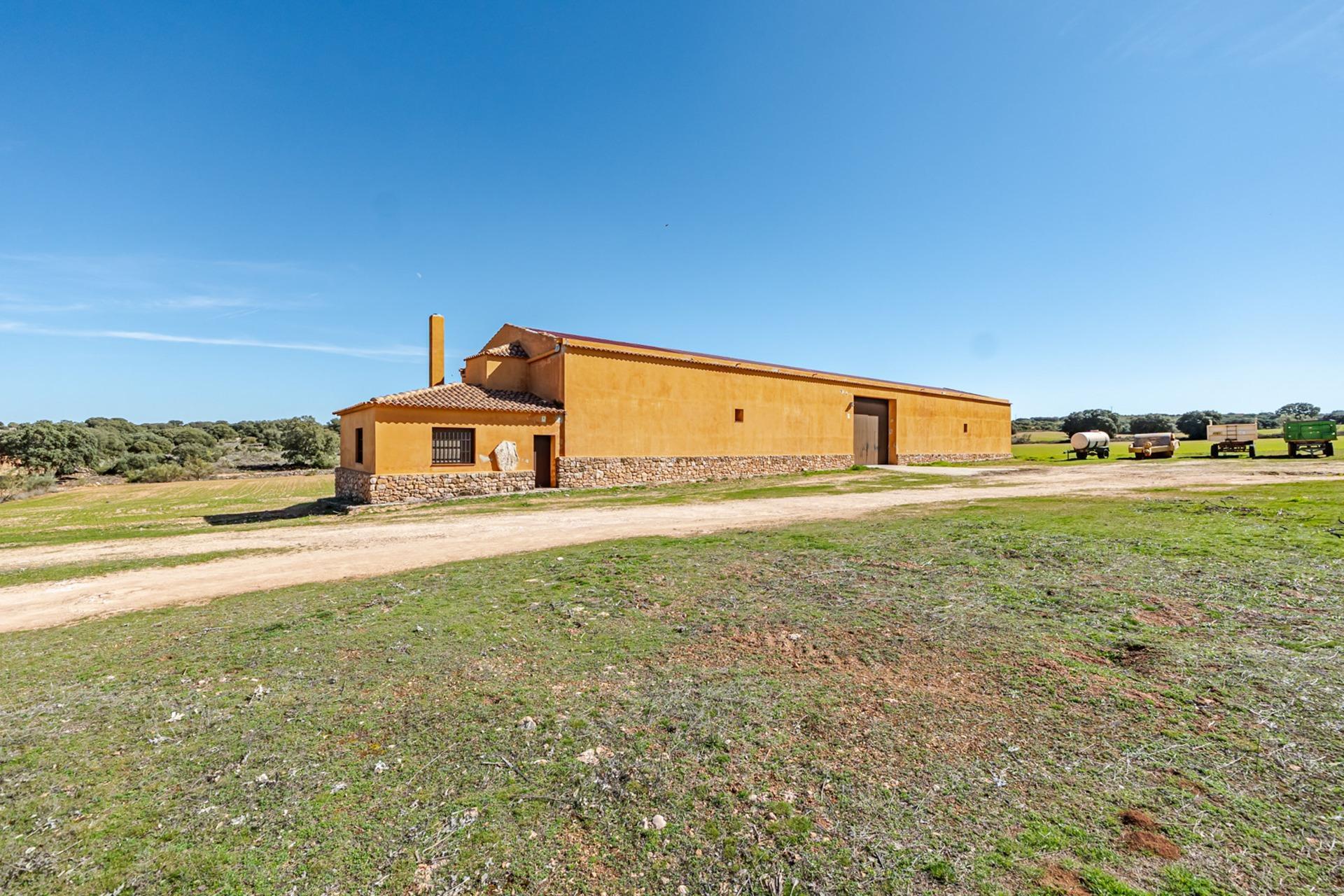 Pisos-Venta-Argamasilla de Alba-2241749-Foto-87