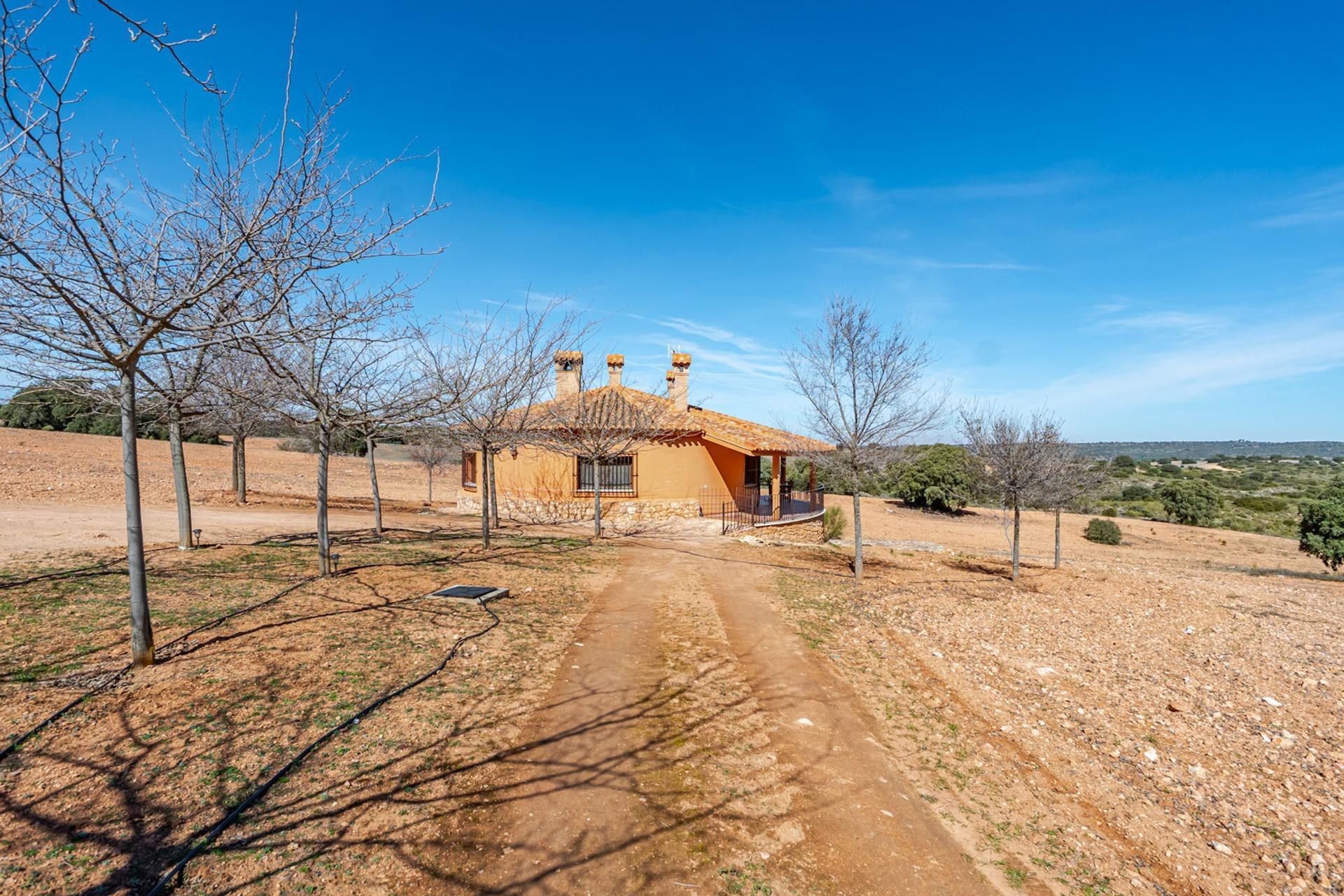 Pisos-Venta-Argamasilla de Alba-2241749-Foto-86