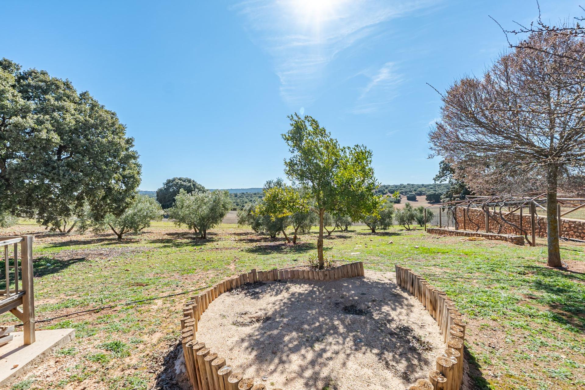 Pisos-Venta-Argamasilla de Alba-2241749-Foto-91