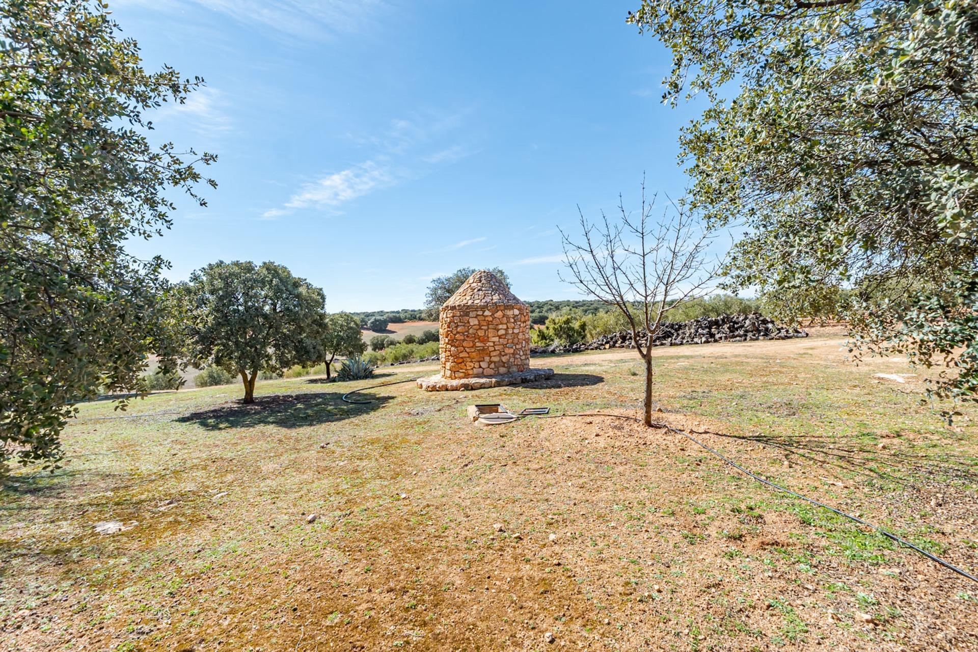 Pisos-Venta-Argamasilla de Alba-2241749-Foto-93