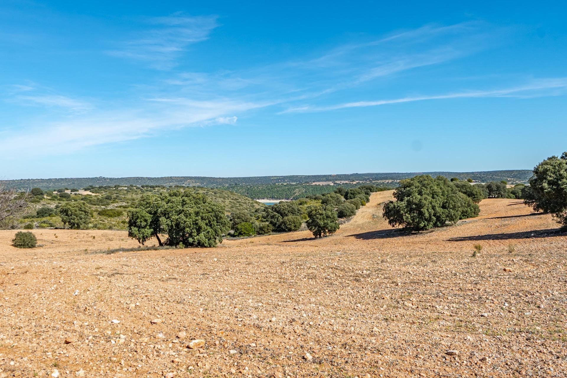 Pisos-Venta-Argamasilla de Alba-2241749-Foto-95