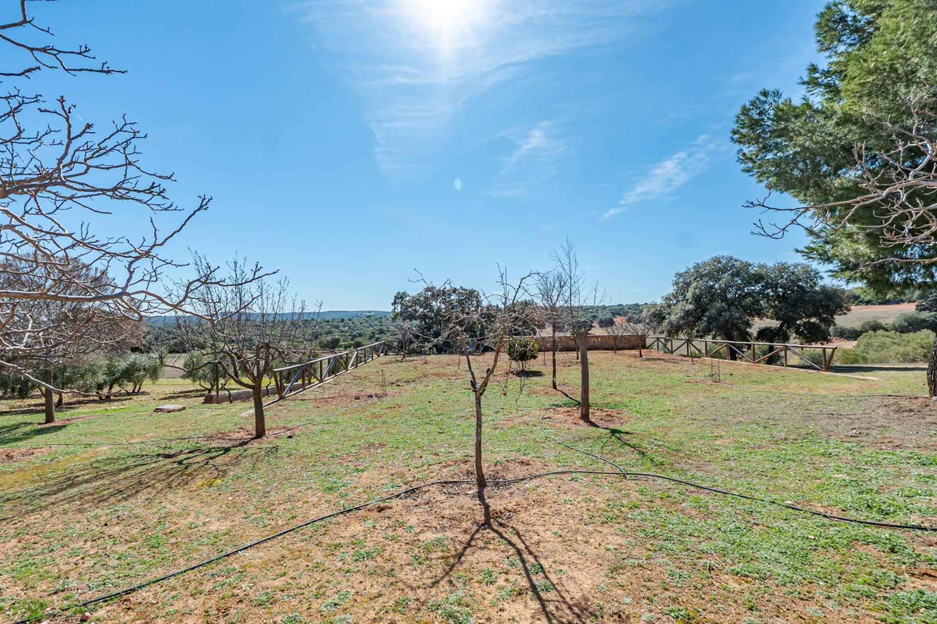 Pisos-Venta-Argamasilla de Alba-2241749-Foto-96