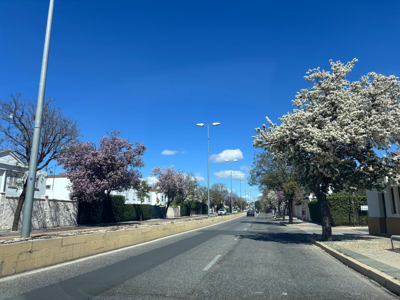 PISO EN VENTA EN CIUDAD ALJARAFE