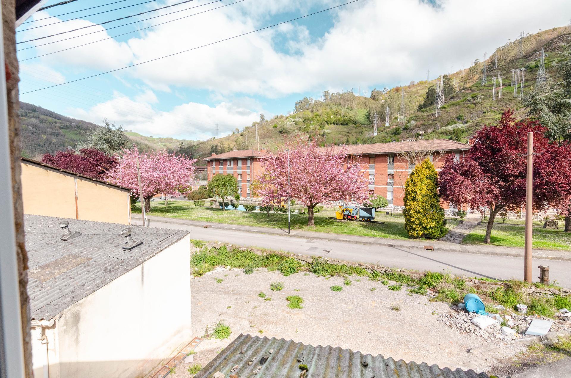 Casas o chalets-Venta-Mieres-2241770-Foto-22