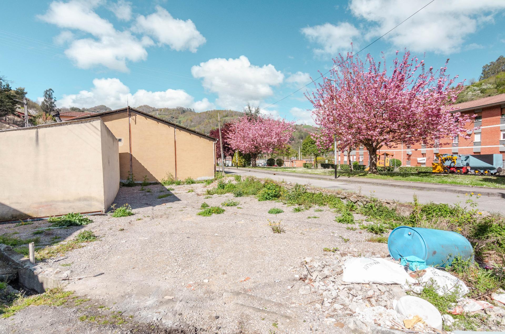 Casas o chalets-Venta-Mieres-2241770-Foto-23