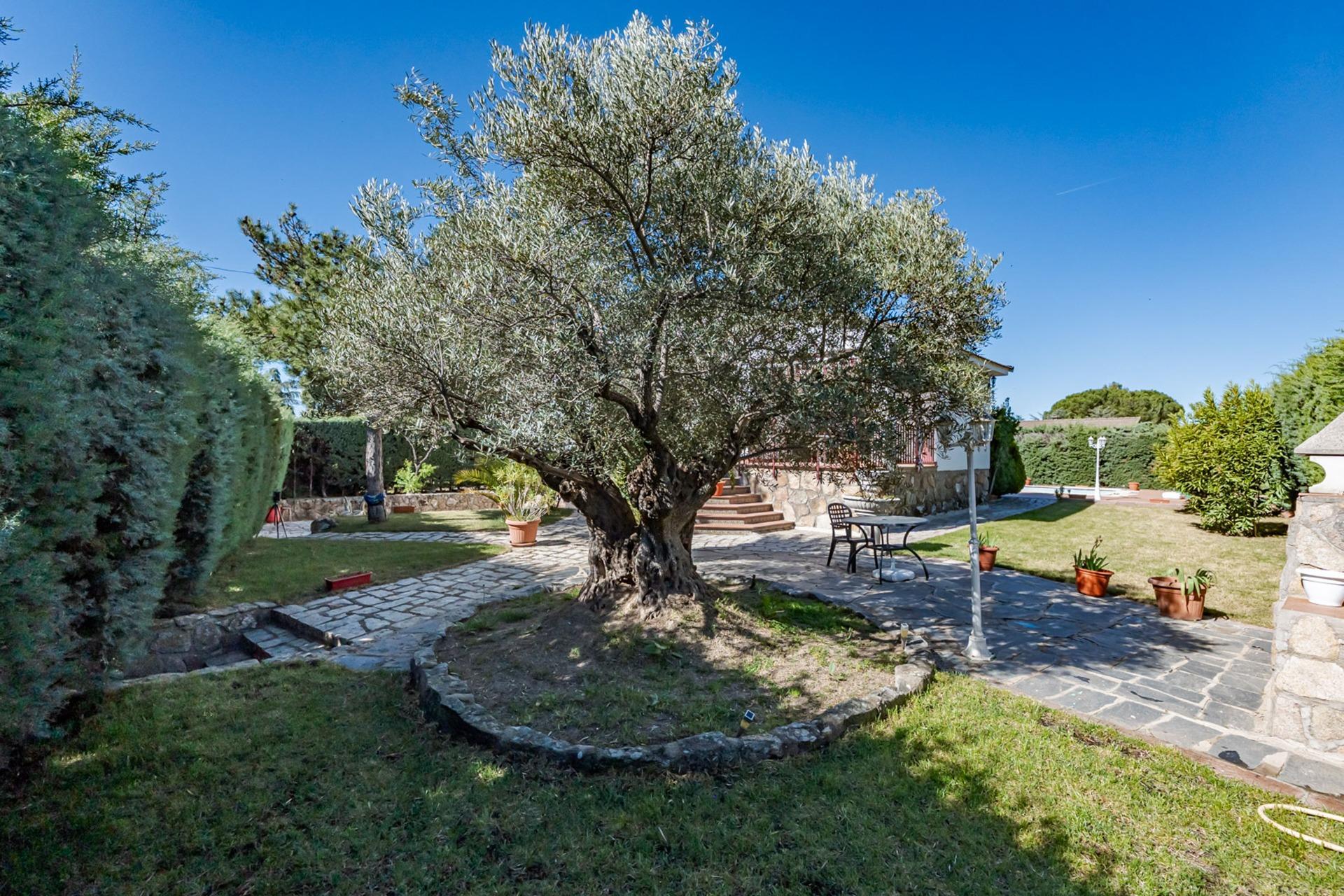 Casas o chalets-Venta-Valdemorillo-2241797-Foto-37