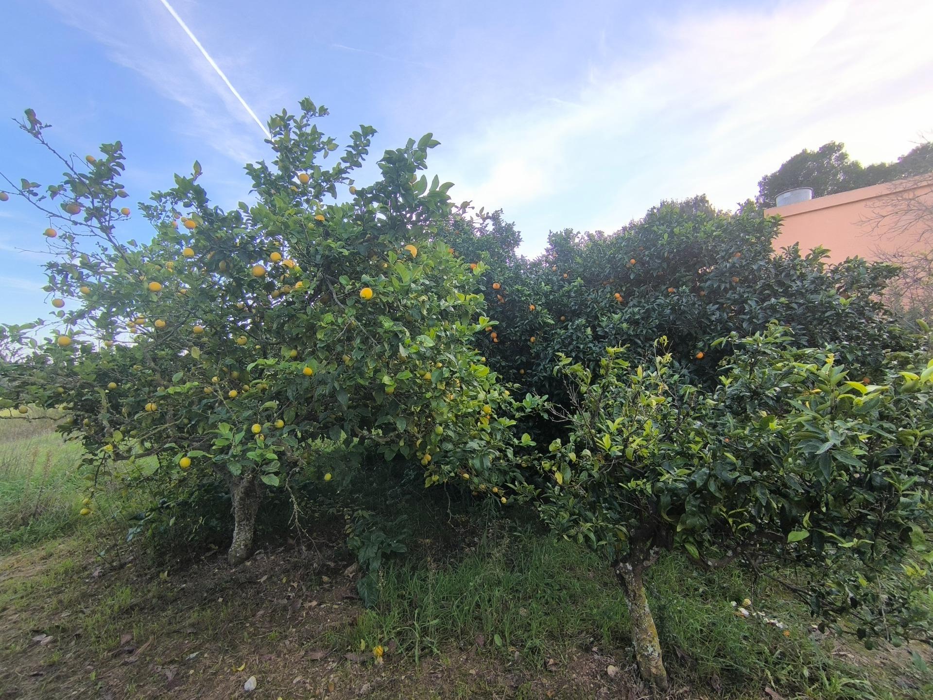 Appartement in Sant Joan