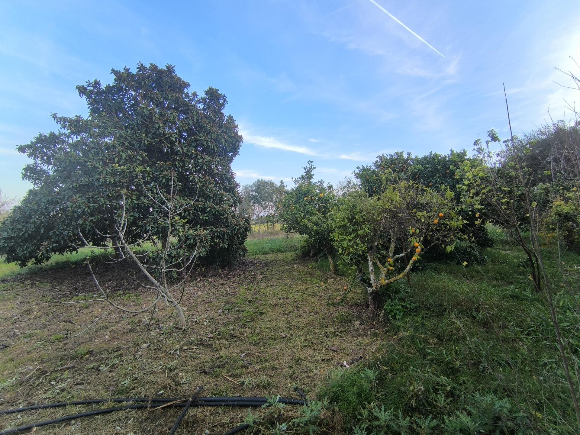 Appartement in Sant Joan