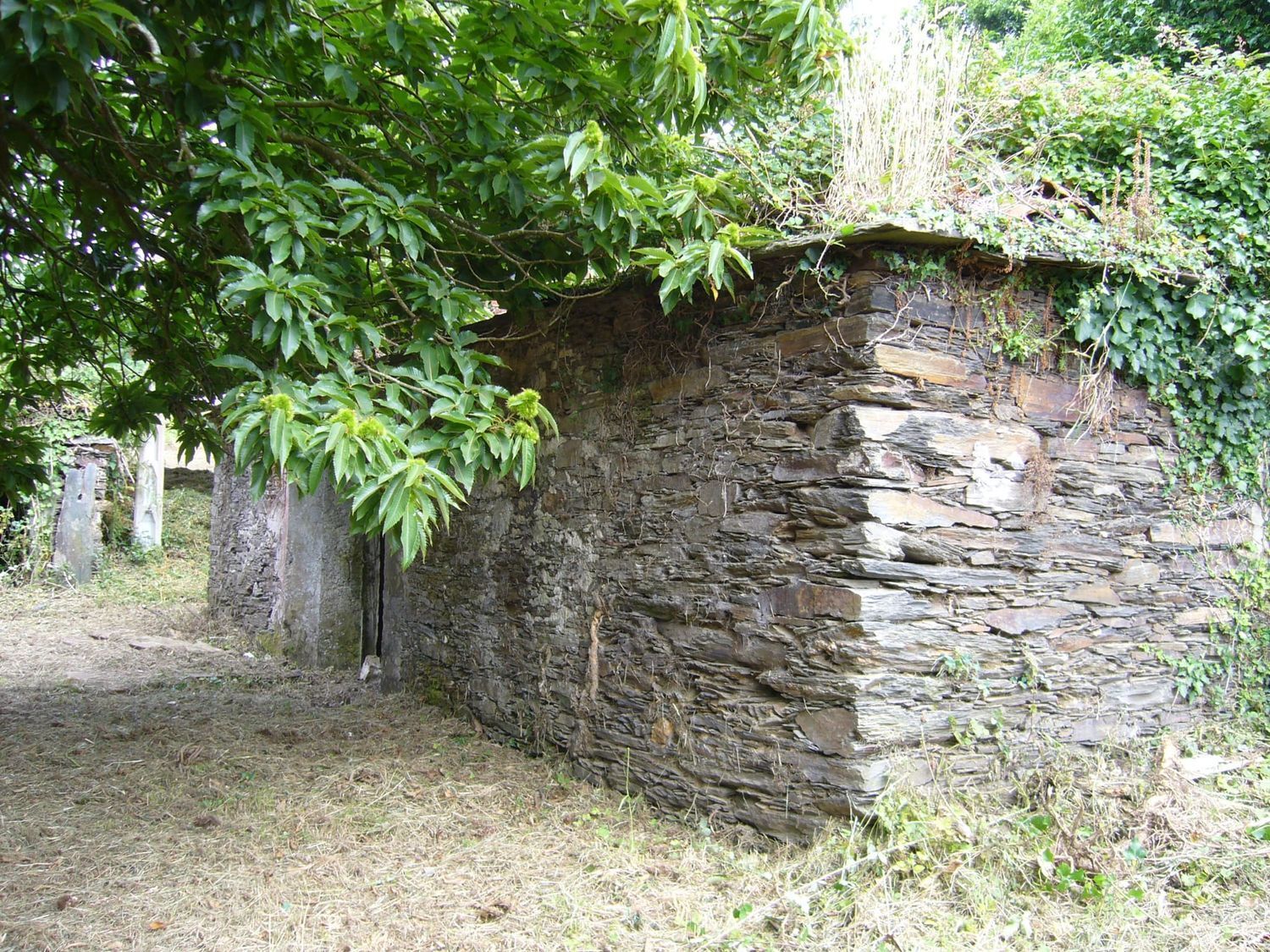 Casas o chalets-Venta-ValdoviÃ±o-2241800-Foto-2