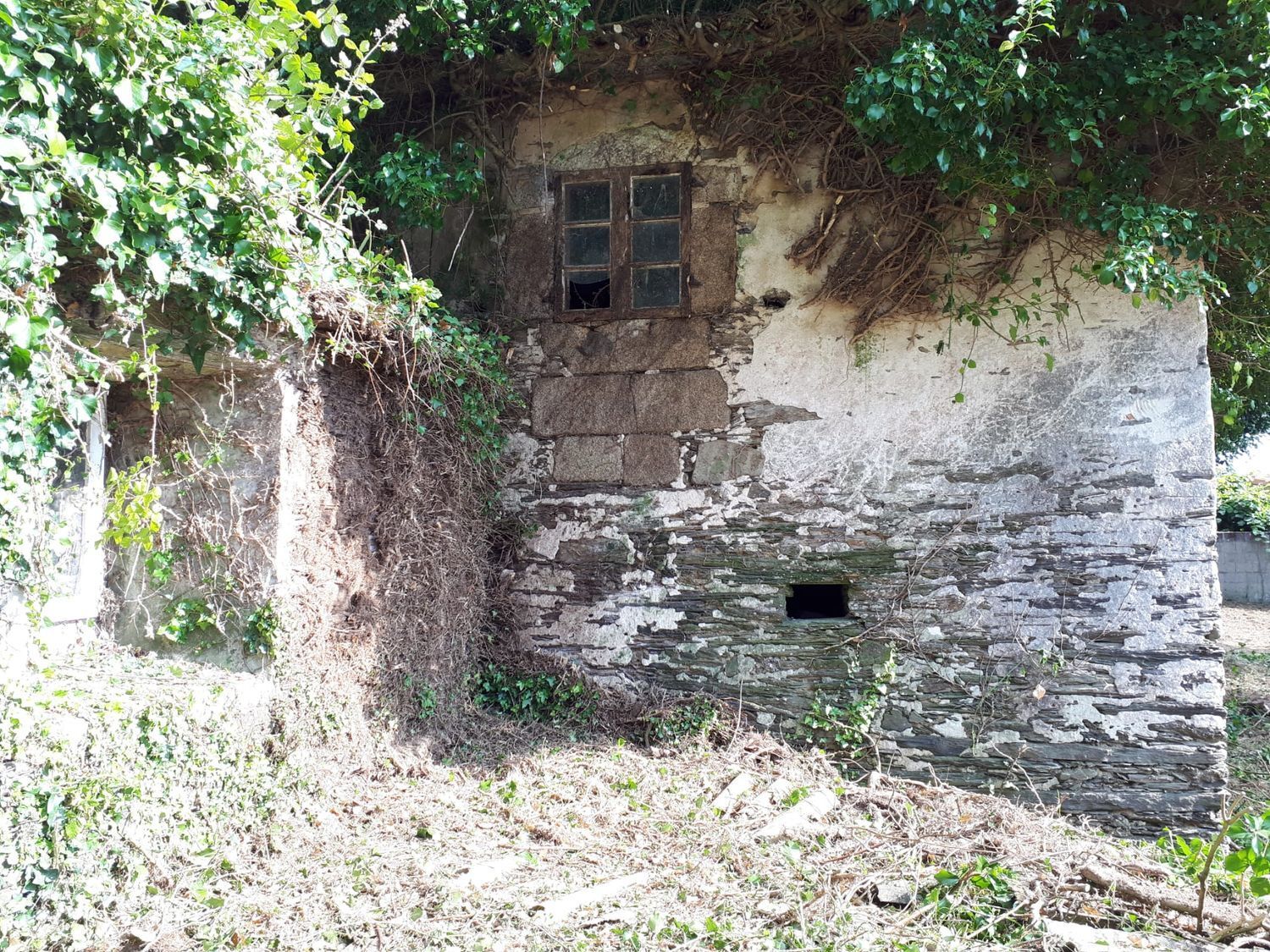 Casas o chalets-Venta-ValdoviÃ±o-2241800-Foto-3