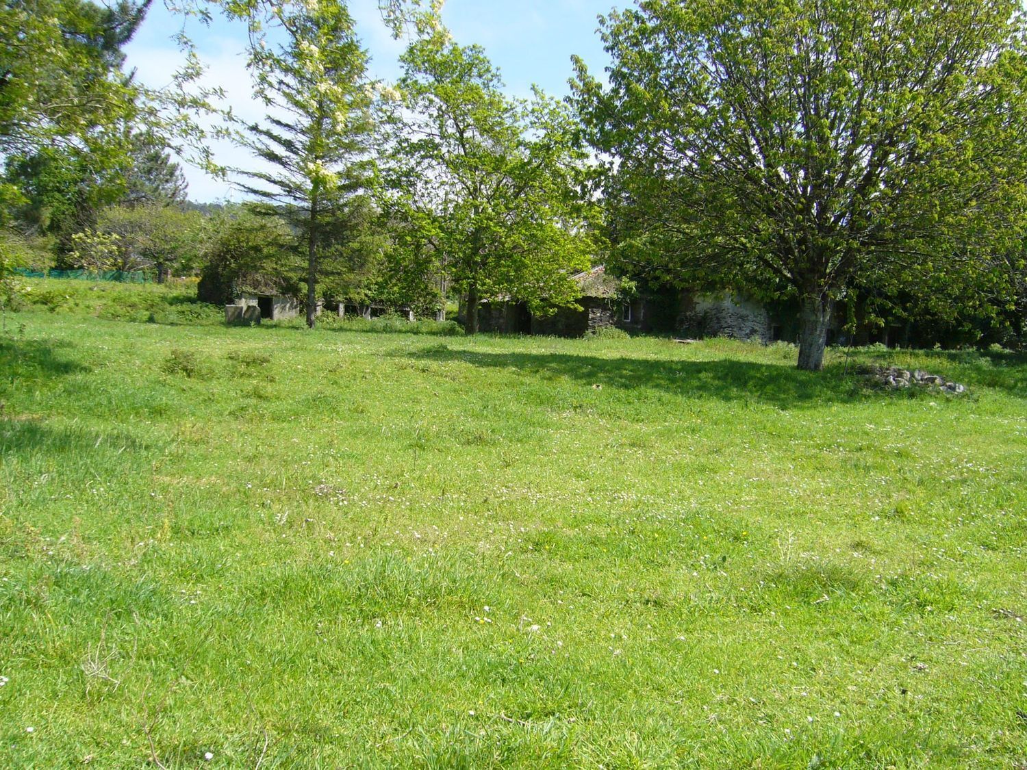 Casas o chalets-Venta-ValdoviÃ±o-2241800-Foto-5