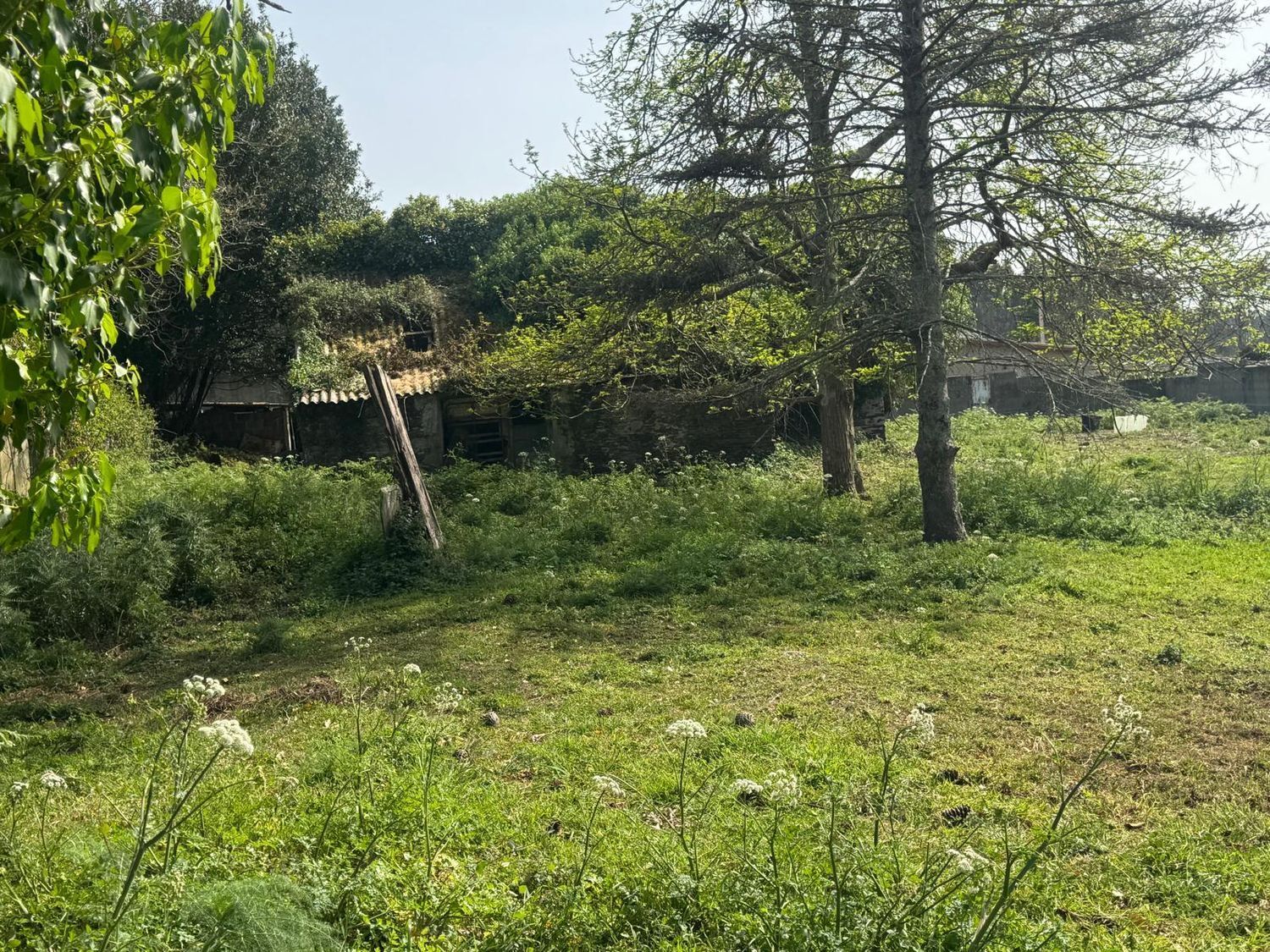 Casas o chalets-Venta-ValdoviÃ±o-2241800-Foto-9