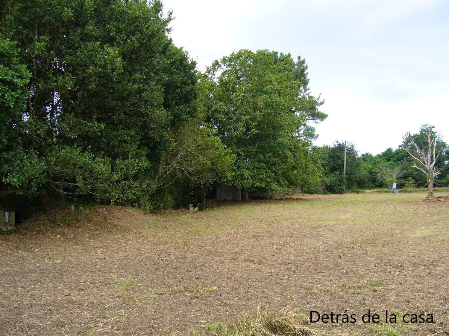 Casas o chalets-Venta-ValdoviÃ±o-2241800-Foto-6