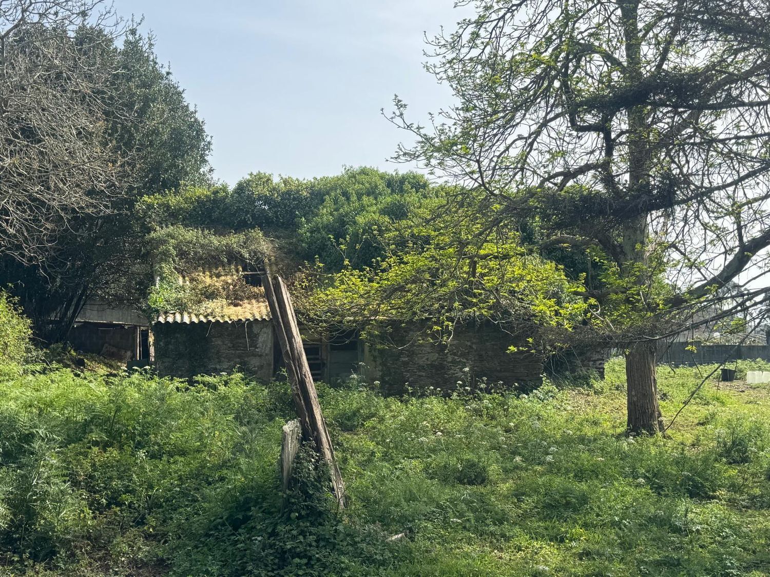 Casas o chalets-Venta-ValdoviÃ±o-2241800-Foto-7