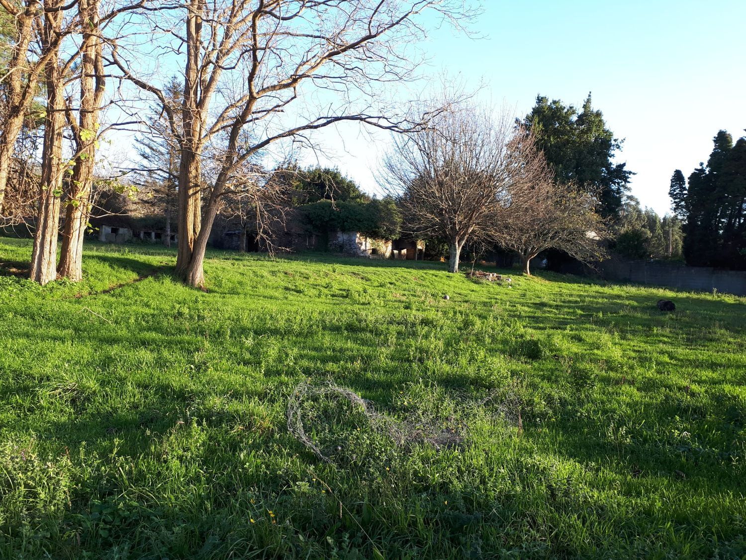 Casas o chalets-Venta-ValdoviÃ±o-2241800-Foto-10