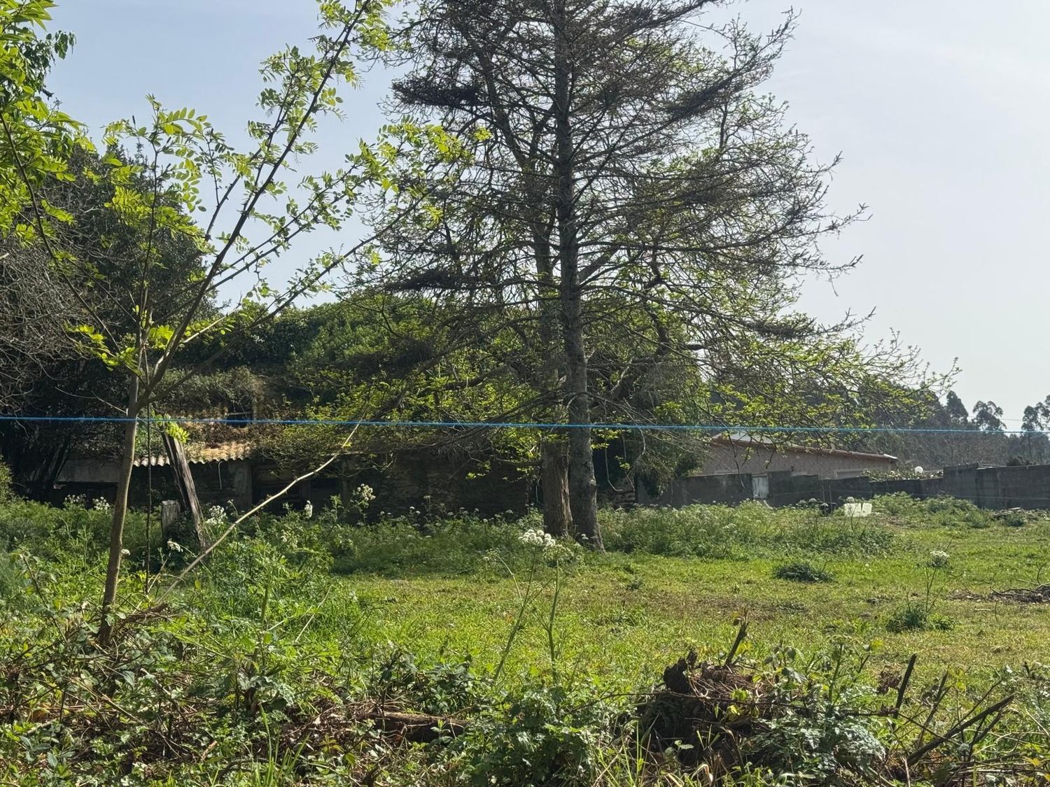 Casas o chalets-Venta-ValdoviÃ±o-2241800-Foto-11