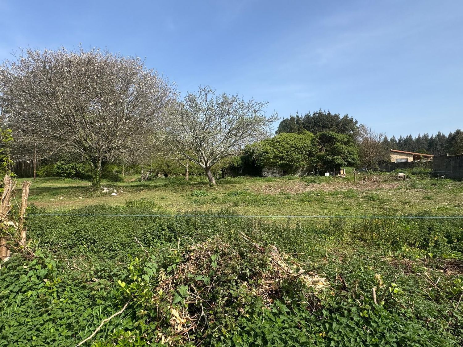 Casas o chalets-Venta-ValdoviÃ±o-2241800-Foto-12