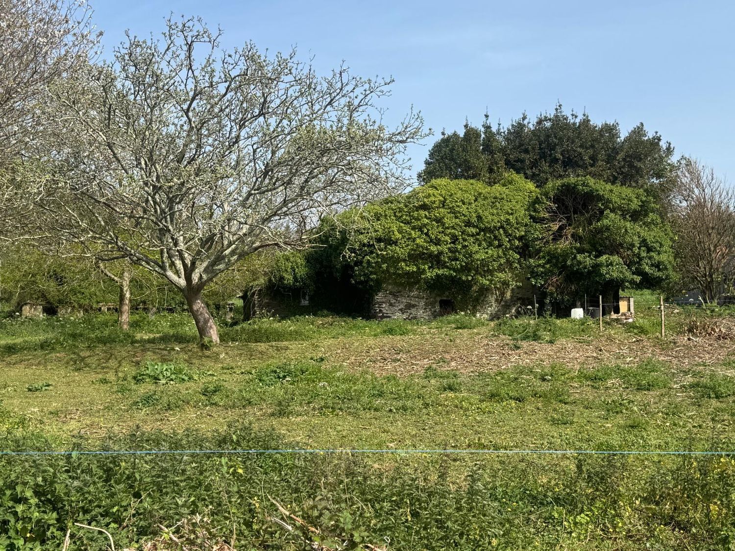 Casas o chalets-Venta-ValdoviÃ±o-2241800-Foto-13