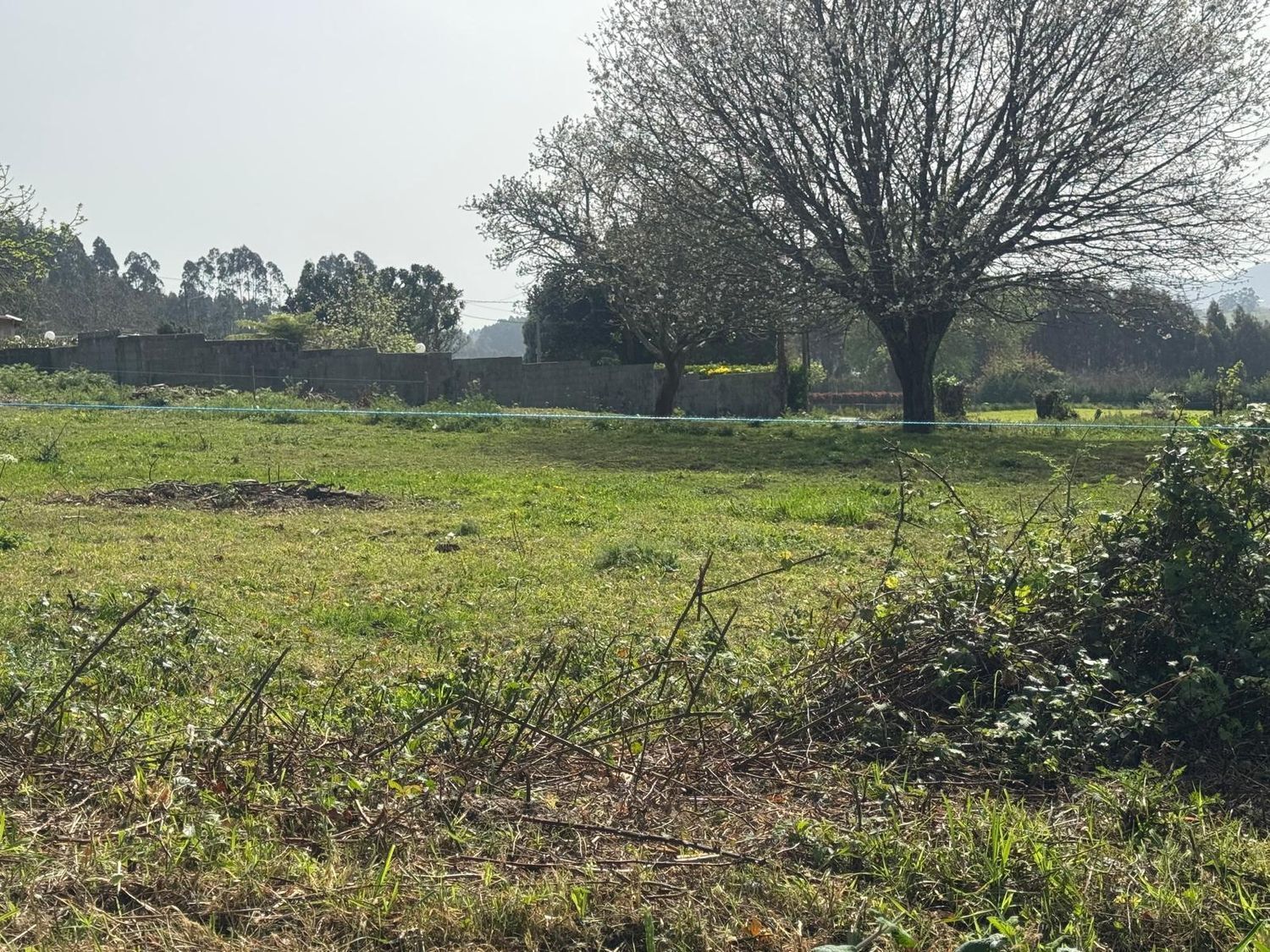 Casas o chalets-Venta-ValdoviÃ±o-2241800-Foto-17