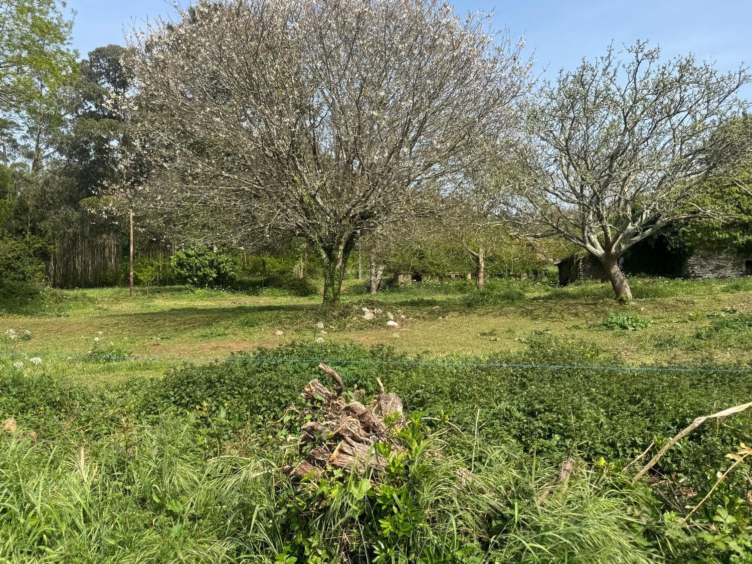 Casas o chalets-Venta-ValdoviÃ±o-2241800-Foto-15