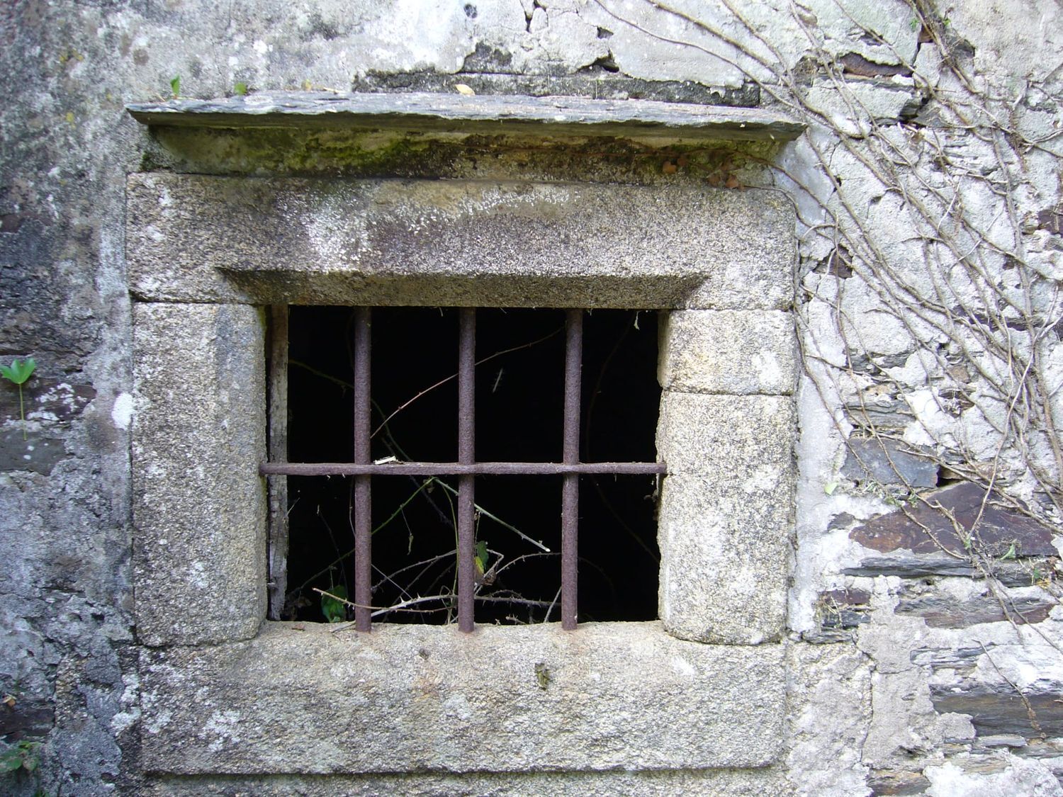 Casas o chalets-Venta-ValdoviÃ±o-2241800-Foto-19