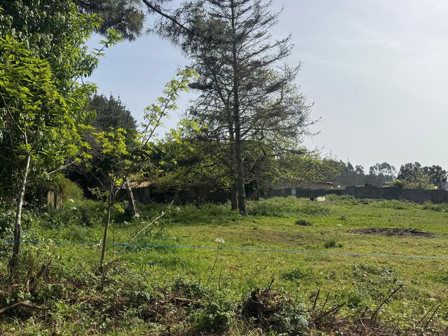 Casas o chalets-Venta-ValdoviÃ±o-2241800-Foto-18