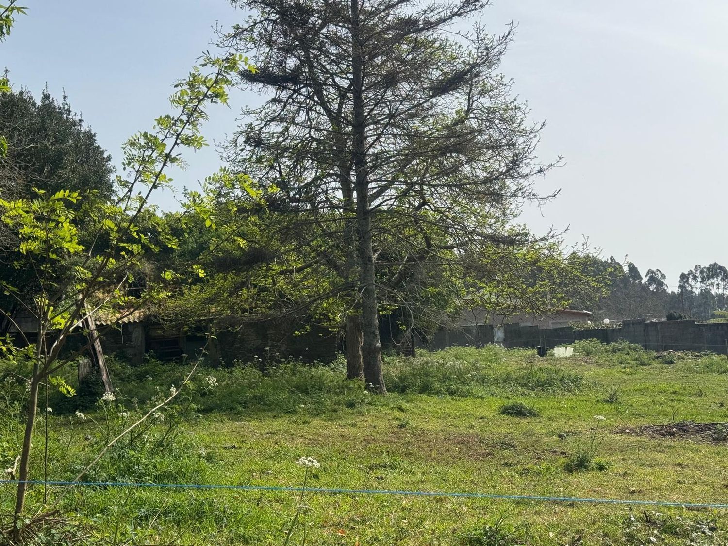 Casas o chalets-Venta-ValdoviÃ±o-2241800-Foto-16